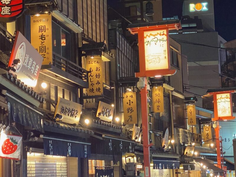 Tokyo, Japan. Image © PlanetSKI